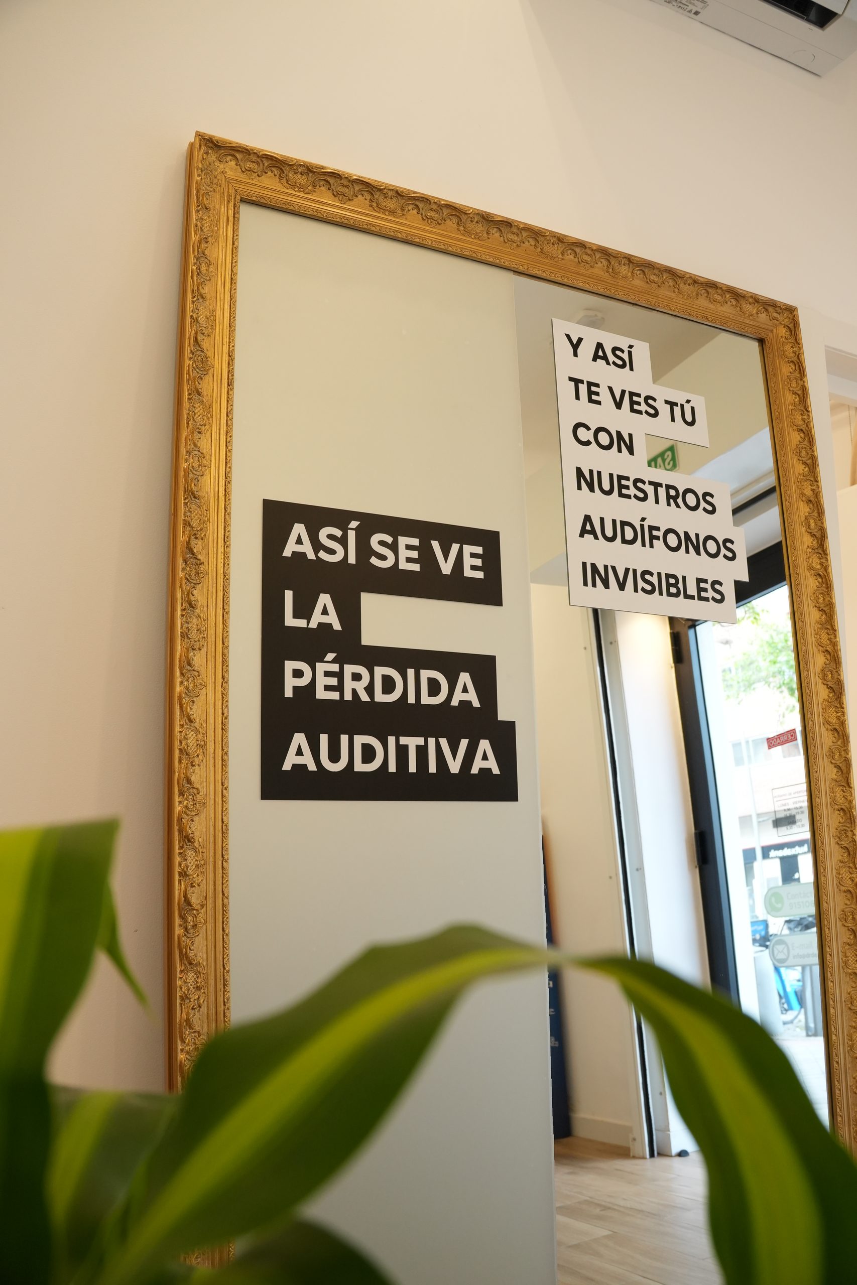 Comparativa: cómo se ve la pérdida auditiva