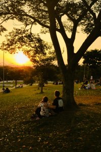 Pareja disfrutando del atardecer en silencio en un parque, ejemplo de cómo mejorar el rendimiento de tus audífonos permite reconectar con momentos cotidianos.