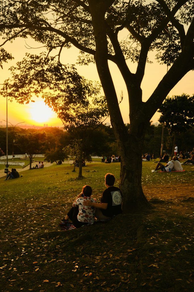 Pareja disfrutando del atardecer en silencio en un parque, ejemplo de cómo mejorar el rendimiento de tus audífonos permite reconectar con momentos cotidianos.